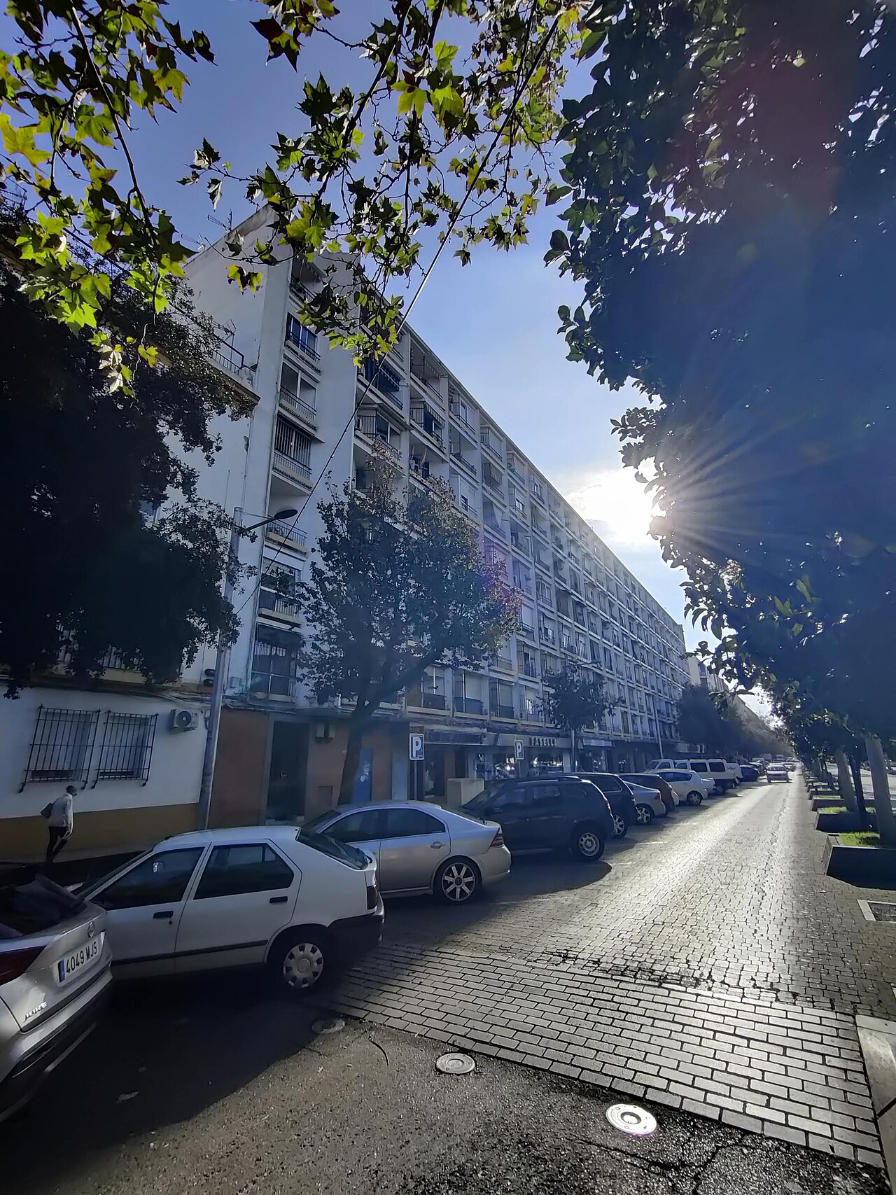 Edificio de viviendas (Colmena)