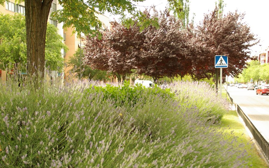 Certificado energético en Alcorcón (Madrid)